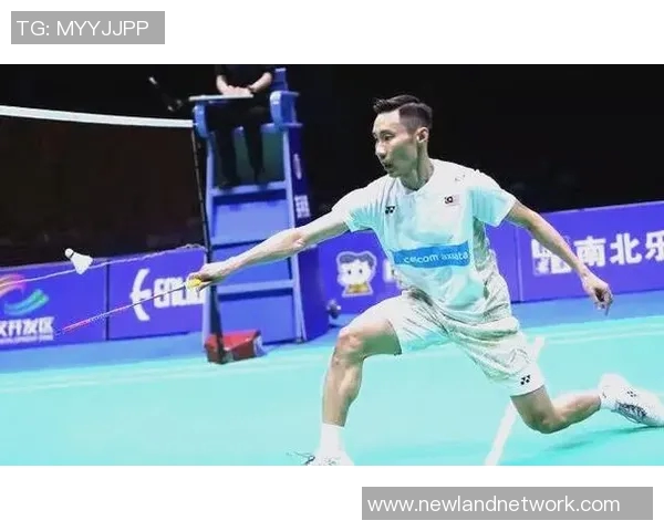 羽毛球赛事技术动作视频分析与训练应用 羽毛球赛事技术动作视频分析与训练应用