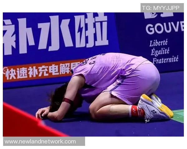 羽毛球赛事高清精彩回放结合专业技术点评助力球迷深度理解比赛